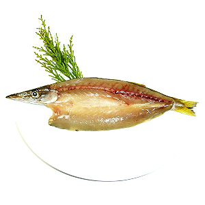 【かますいしる一夜干し】能登の魚醤（いしる）が魚の旨みをより引き出す！鮮魚・焼き魚以上に旨み・栄養たっぷり！