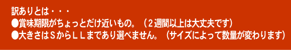 󂠂Ƃ́A@ܖ߂i2TԈȏ͂܂jA傫낢